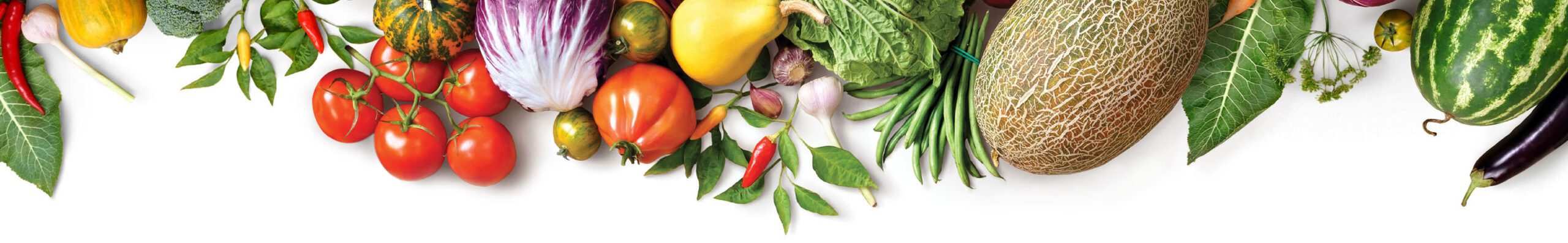 produce_banner_3000px_crop-scaled.jpg