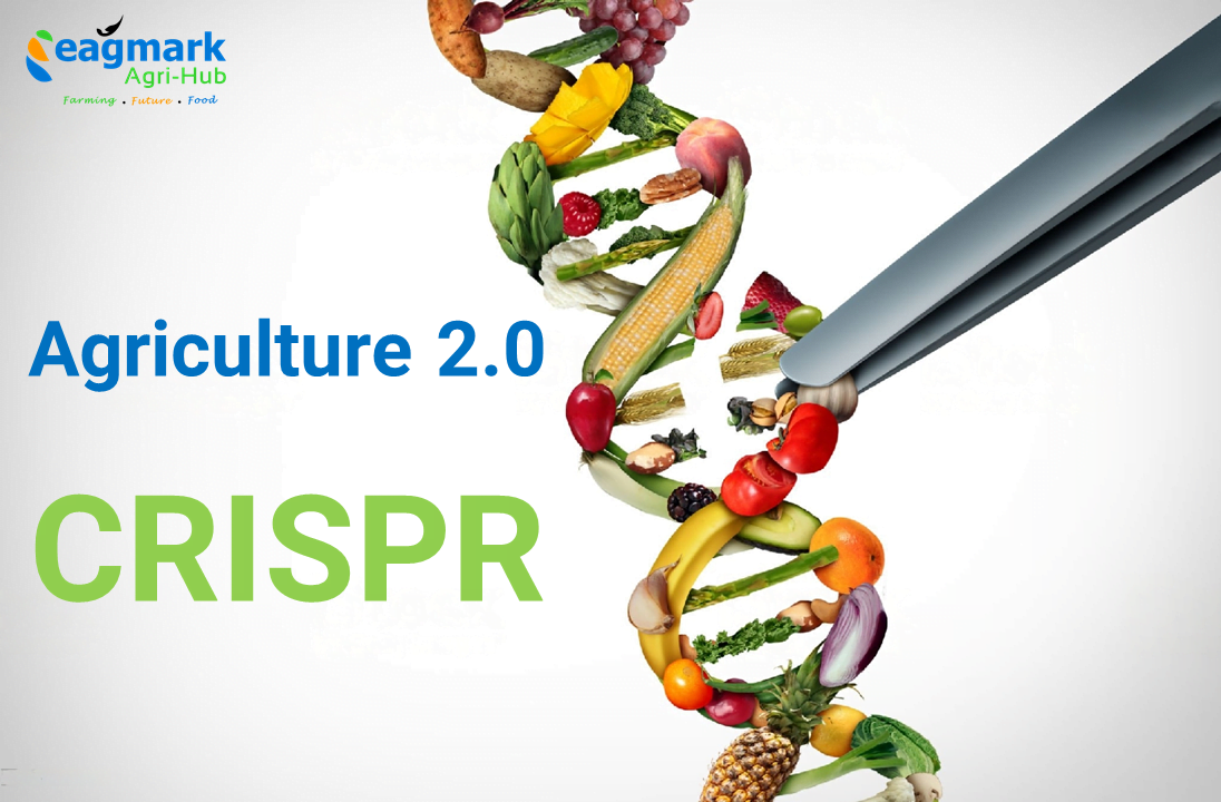 Agriculture-2.0-CRISPR.png