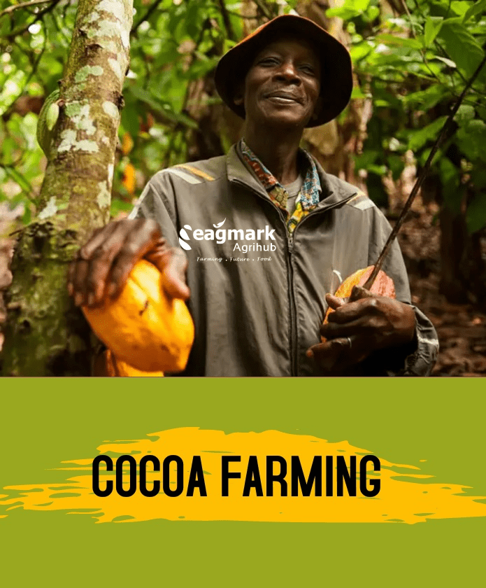 Cocoa-Farmer.png