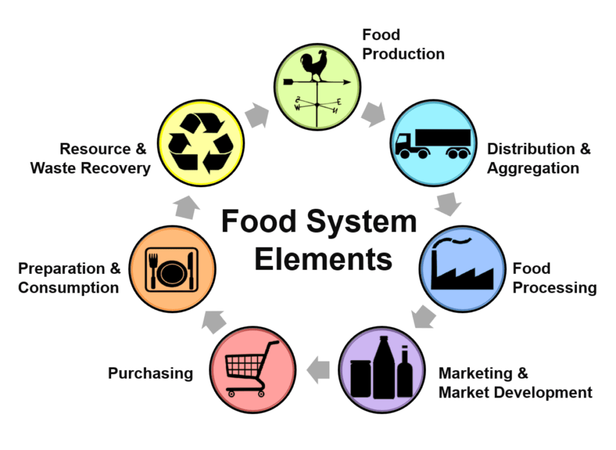 Food-Systems-1200x876.png