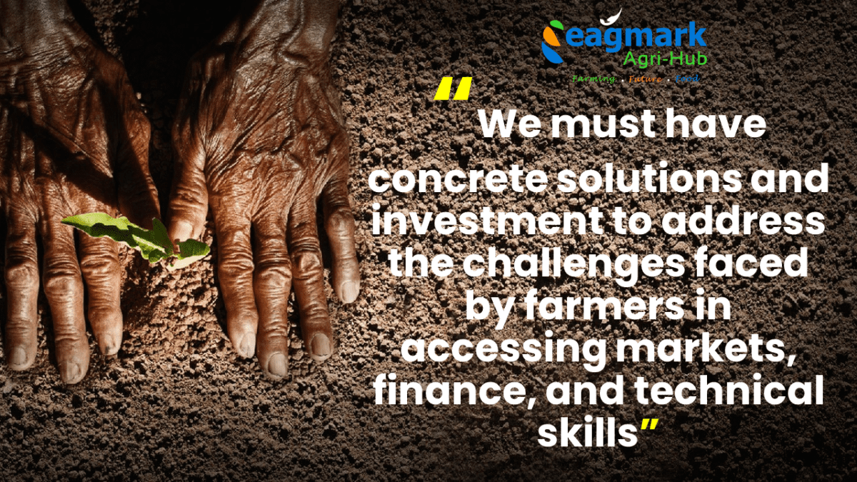 Eagmark-solutions-and-investment-to-support-smallholder-farmers-1200x675.png