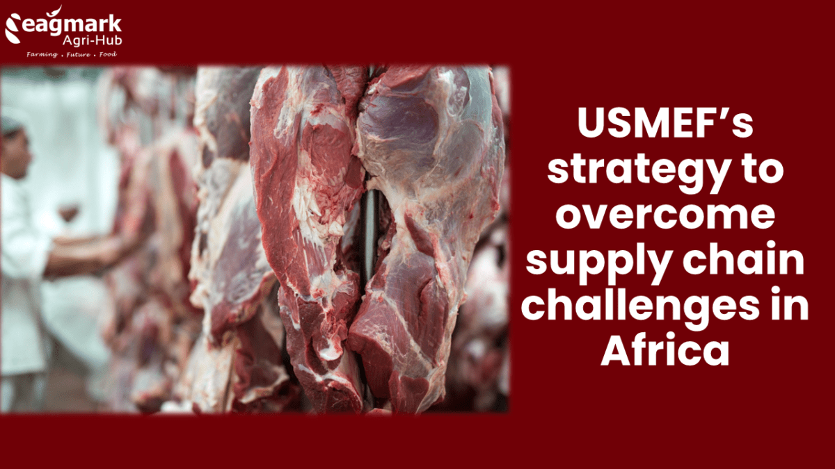 Eagmark_News_USMEFs-Strategy-to-Overcome-Supply-Chain-Challenges-in-Africa-1200x675.png