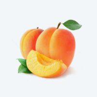 Eagmark Apricot