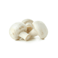 Eagmark Mushrooms