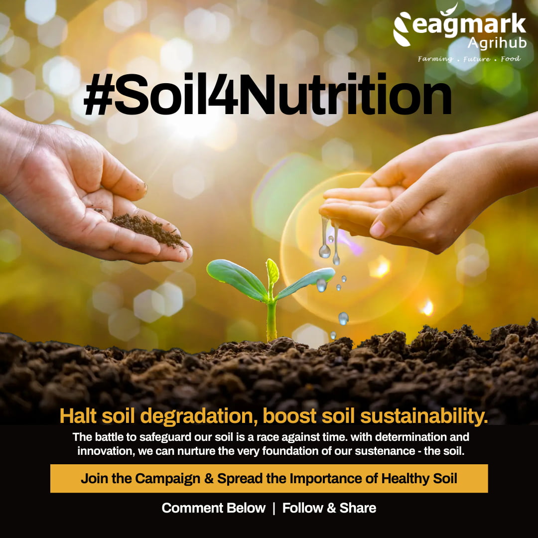 Soil_Sustainability_Eagmark-Agri-Hub.jpg