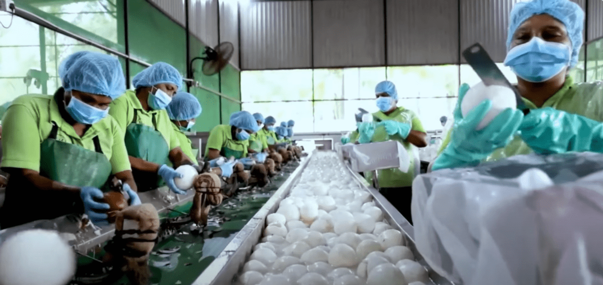 coconut_processing-1200x567.png