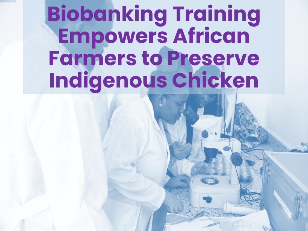 Biobanking-Training-Empowers-African-Farmers-to-Preserve-Indigenous-1200x900.png