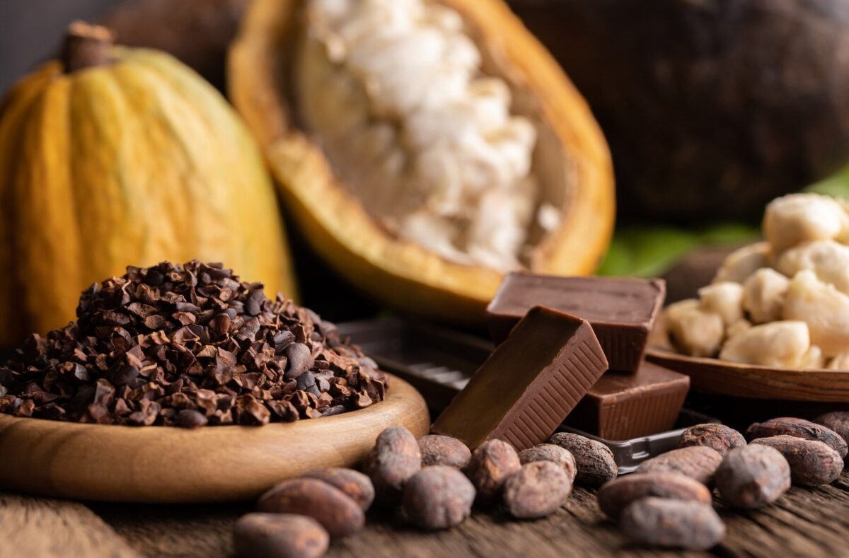 cocoa-pods-chocolate-1200x789.jpeg