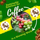 Sustainable Solutions for Coffee in a Warming World