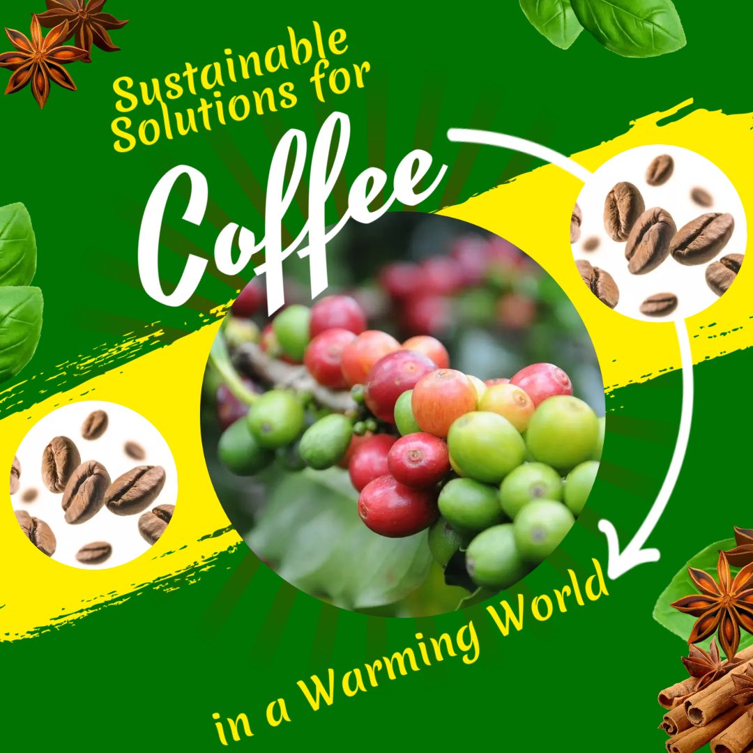 Sustainable-Solutions-for-Coffee-in-a-Warming-World.jpg