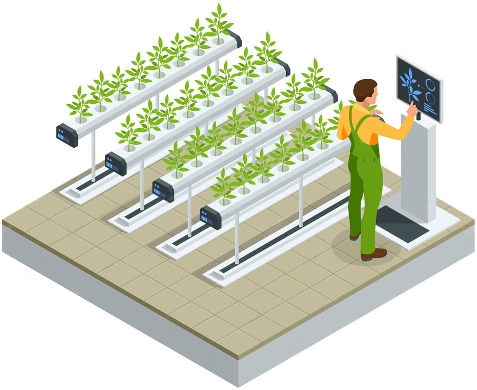 eSoil-agriculture-hydroponic.jpeg