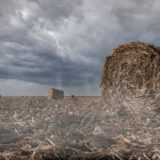 Devastating Effects of Disasters on Agriculture