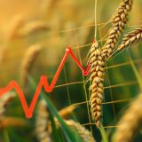 Global Agricultural Productivity (GAP) Report